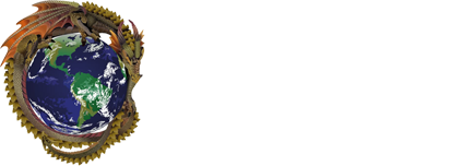 Eco Dragon South West Ltd
